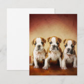 イギリスのブルドッグの子犬が本当にかわいい 招待状 (正面/裏面)