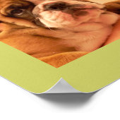 イギリスのブルドッグの子犬のポスター ポスター (角)