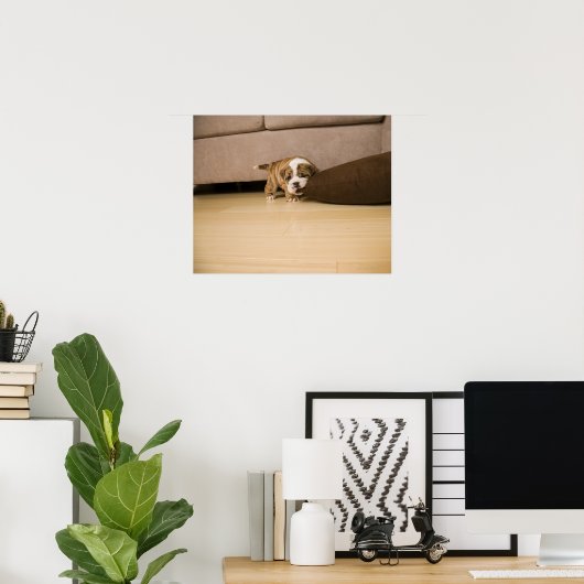 イギリスのブルドッグの子犬の噛む枕 ポスター (ホームオフィス)