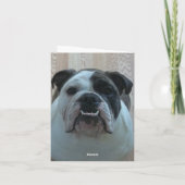 イギリスのブルドッグの子犬メリークリスマスカード シーズンカード (裏面)