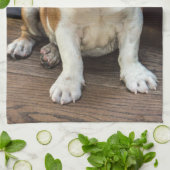 イギリスのブルドッグの子犬 キッチンタオル (折り畳み)