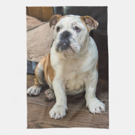 イギリスのブルドッグの子犬 キッチンタオル