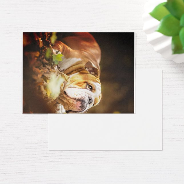 イギリスのブルドッグの森の写真 (デスク)