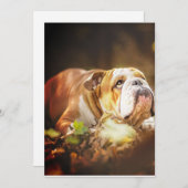 イギリスのブルドッグの森の写真 シーズンカード (正面/裏面)