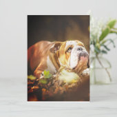 イギリスのブルドッグの森の写真 シーズンカード (スタンド正面)