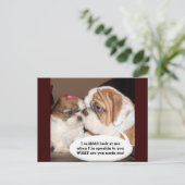 イギリスのブルドッグの注意！ ポストカード (スタンド正面)