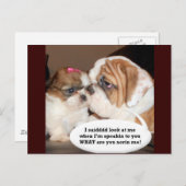 イギリスのブルドッグの注意！ ポストカード (正面/裏面)