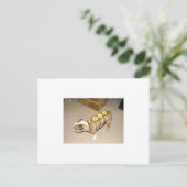 イギリスのブルドッグはハニーベイクハムだ ポストカード (スタンド正面)