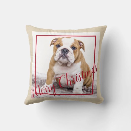 イギリスのブルドッグカスタムクリスマス写真 クッション (裏面)