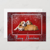 イギリスのブルドッグクリスマスカード シーズンポストカード (正面/裏面)