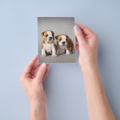 イギリスのブルドッグパピー |かわいいブルドッグ チラシ (手)