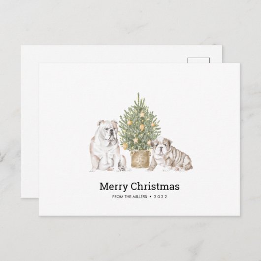 イギリスのブルドッグファミリー付きクリスマスカード ポストカード (正面/裏面)