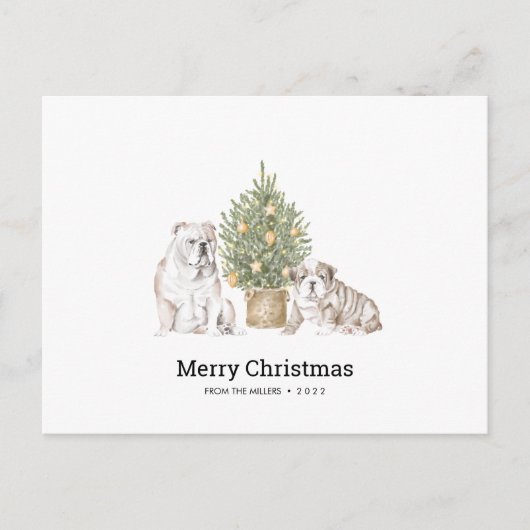 イギリスのブルドッグファミリー付きクリスマスカード ポストカード (正面)