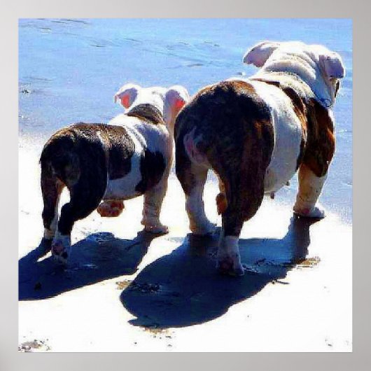 イギリスのブルドッグ一頭でポスターを貼る ポスター (正面)