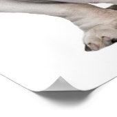 イギリスのブルドッグ座って ポスター (角)