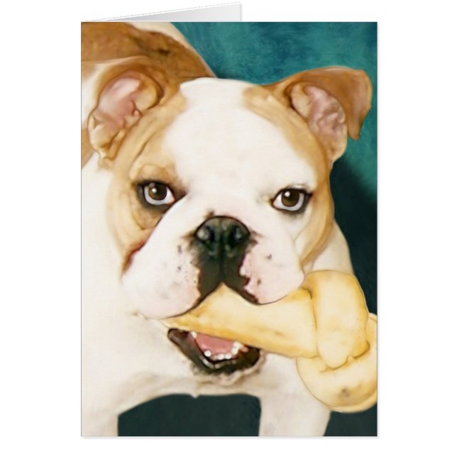 イギリスのブルドッグ「アダージョ」 (正面)