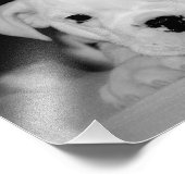 イギリスのブルドッグ「サッカーの子犬」 フォトプリント            (角)