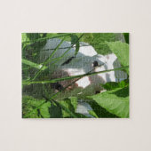 イギリスのブル・テリアがを覗き葉込む ジグソーパズル (横)