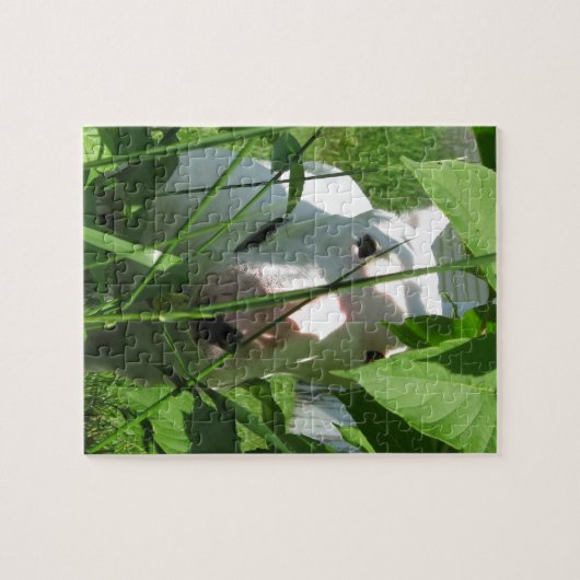 イギリスのブル・テリアがを覗き葉込む ジグソーパズル (横)