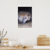 イギリスのポニープリント ポスター (キッチン)