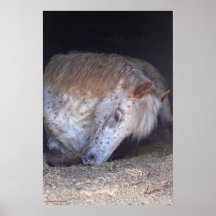 イギリスのポニープリント