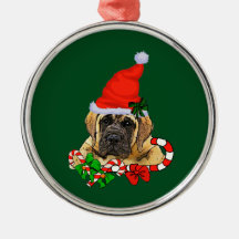 イギリスのマスティフ・クリスマス