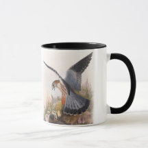 イギリスのマーリンの《鳥》ハヤブサのジョンGouldの鳥