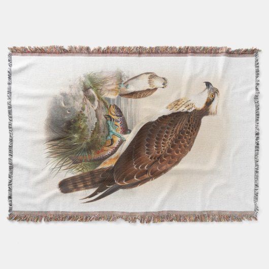 イギリスのミサゴの海のタカのジョンGouldの鳥 スローブランケット (正面)