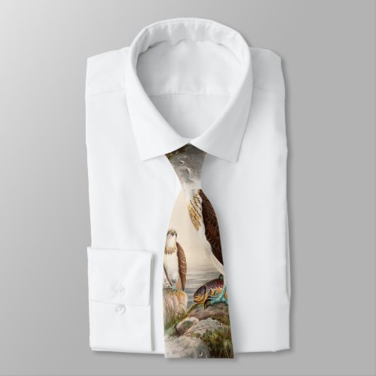 イギリスのミサゴの海のタカのジョンGouldの鳥 ネクタイ (タイ)