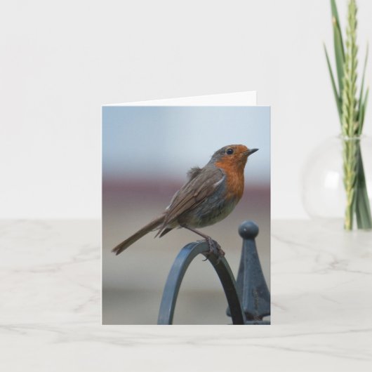 イギリスのロビンの空白のなNotecard カード (正面)