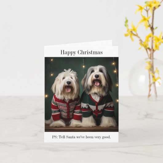 イギリスの古いシープドッグスクリスマスカード カード (黄色い花)