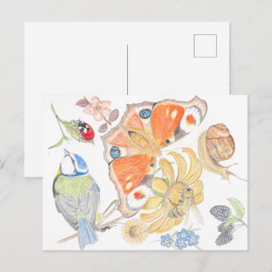 イギリスの庭 ポストカード (正面/裏面)