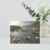 イギリスの情景、デボン湾の近く。 ポストカード (スタンド正面)