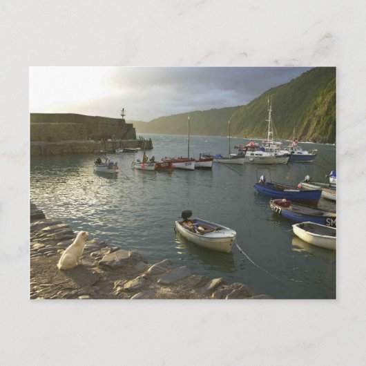 イギリスの情景、デボン湾の近く。 ポストカード (正面)
