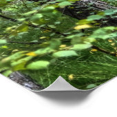 イギリスの新しい森の木々の自然シーン ポスター (角)