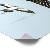 イギリスの海鳥の統一されたリスト ポスター (角)