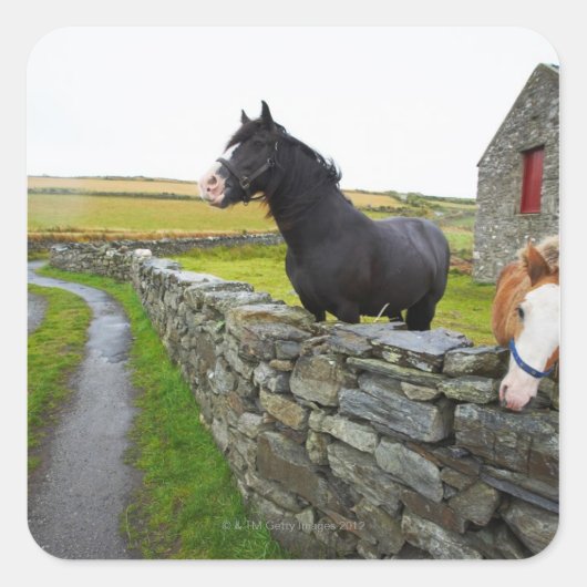 イギリスの田舎の農場に二頭の馬 スクエアシール (正面)