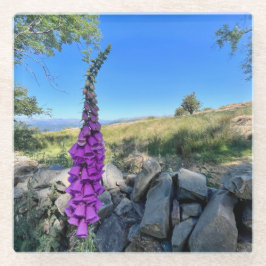 イギリスの田舎の静けさ ガラスコースター