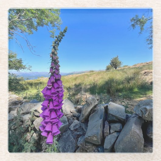 イギリスの田舎の静けさ ガラスコースター (正面)