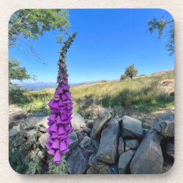 イギリスの田舎の静けさ コースター