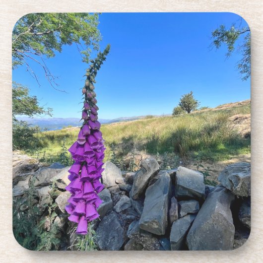 イギリスの田舎の静けさ コースター (正面)