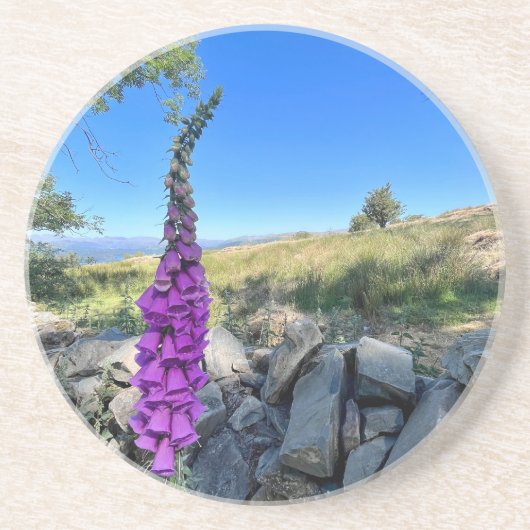 イギリスの田舎の静けさ コースター (正面)