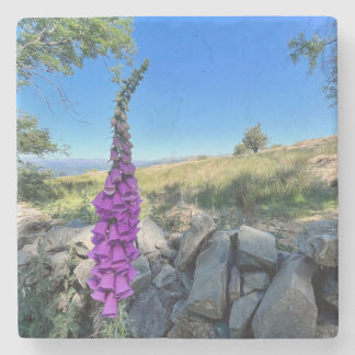 イギリスの田舎の静けさ ストーンコースター