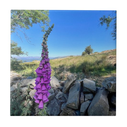 イギリスの田舎の静けさ タイル (正面)