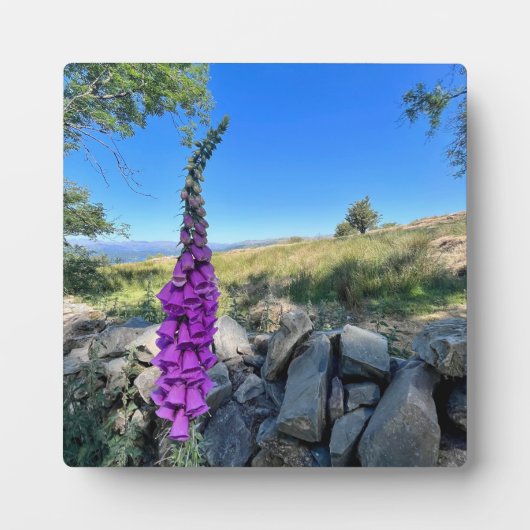 イギリスの田舎の静けさ フォトプラーク (正面)