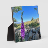 イギリスの田舎の静けさ フォトプラーク (正面)