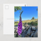 イギリスの田舎の静けさ ポストカード (正面/裏面)