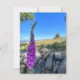 イギリスの田舎の静けさ ポストカード