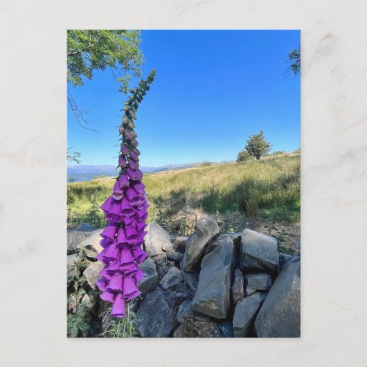 イギリスの田舎の静けさ ポストカード (正面)