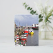 イギリスの見解 ポストカード (スタンド正面)